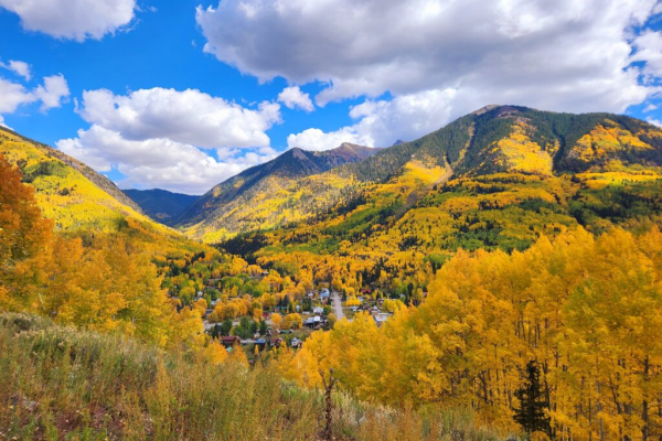 mountains with colorful yellow fall foliage