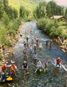 Two dozen people wade in a stream catching floating yellow rubber ducks with fishing nets
